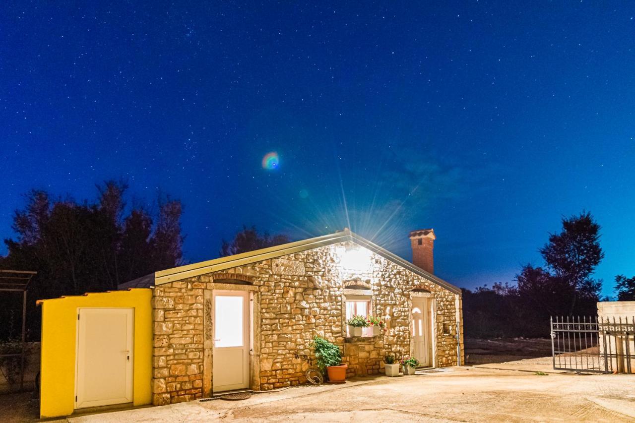 Lovely House